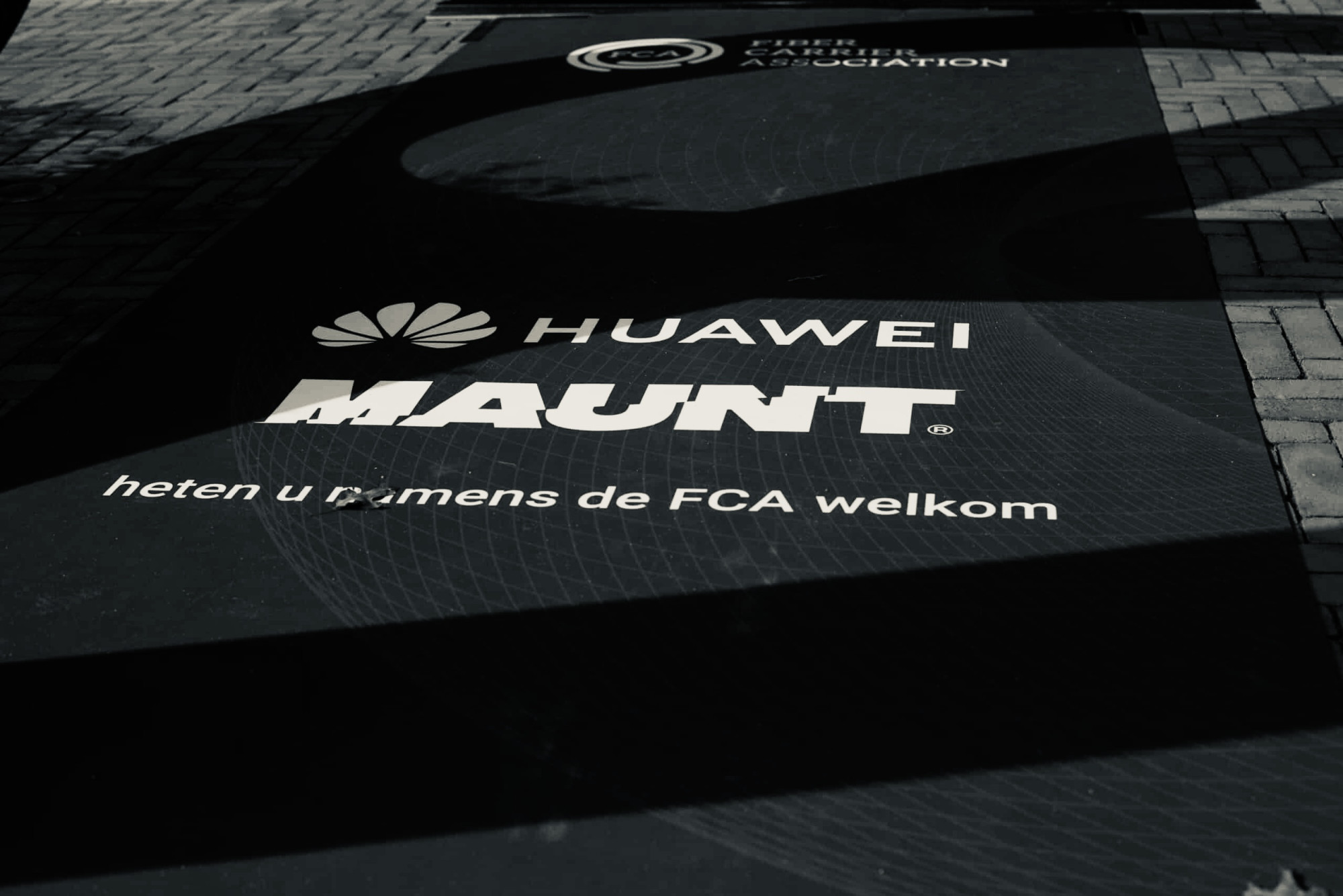 fvd2